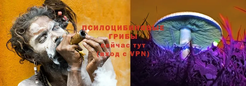 блэк спрут как войти  площадка телеграм  Галлюциногенные грибы мицелий  Кинель 